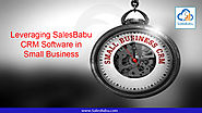 Leveraging SalesBabu CRM Software in Small Business