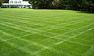 Approach Experts of Lawn Care and Maintenance Services in NJ - propertymatrix