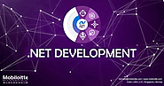 .Net Development Services