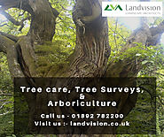 Tree care, Tree Surveys, and Arboriculture | Landvision