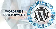 Wordpress Web Development | Skenix Infotech