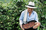 Colombian Coffee: One of the World's Best