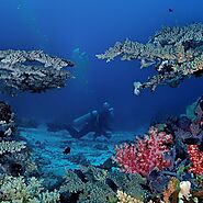 3 Challenging Bali Diving Spots for Advanced Diving! - Pinkvisualpass2