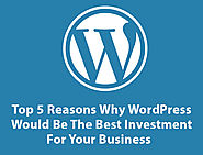 Top 5 Reasons Why WordPress Would Be The Best Investment For Your Business?