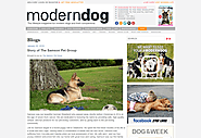 The Modern Dog Blog