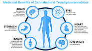 Medicinal Benefits of Cannabidiol & Tetrahydrocannabinol