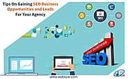 Tips On Gaining SEO Business Opportunities and Leads For Your Agency