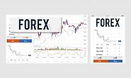 Forex Trading Course - How Important are Pips in Forex