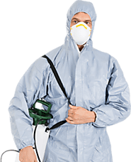 Modern Mice Exterminator Treatment Toronto for Your Home