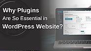 Why Plugins Are So Essential in WordPress Website?