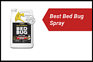 6 Best Bed Bug Sprays in 2022 [Detailed Reviews]