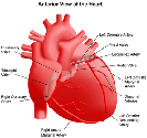 Best Heart Hospital in Chennai