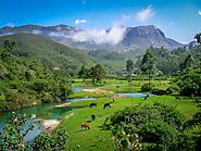 Top 10 Famous Places to Visit in Munnar and Major Tourist Attraction 2019