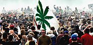 Countries With The Highest Cannabis Weed Population