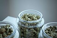 How Does Marijuana Produce Its Effects?