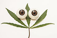 How Does Marijuana Affect the Vision?