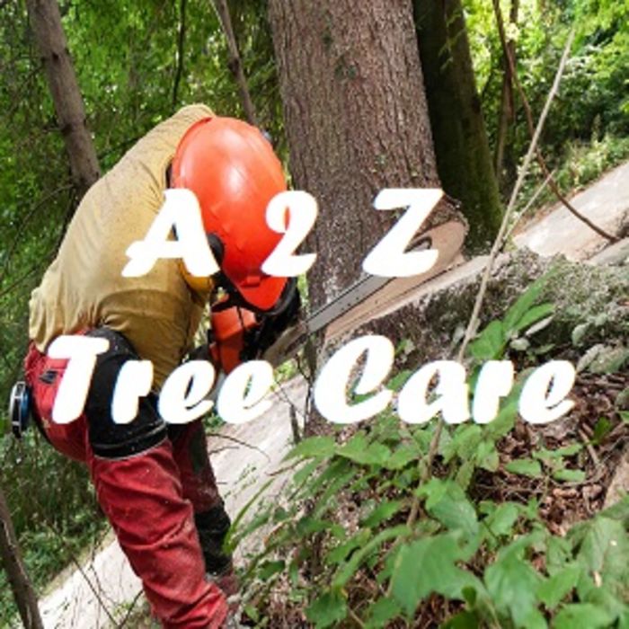 A to Z Tree Care A Listly List