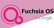 Fuchsia ~ NetKiDuniya