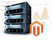 Why we say NO with free magento hosting? - Magento Host Solution