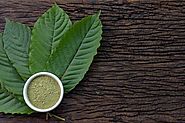 Five Guidelines to Remember Before You Buy High Quality Kratom: kratomtemple
