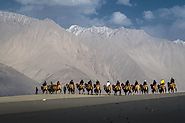 Top Tourist Places To Visit in Nubra Valley & Things To Do