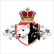 12555 / Black & White Dogs - Coiffeur and more