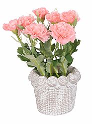 Buy Scrafts Pink medium carved coarse clay base artificial/dry/faux flowers arrangement for home décor/living room dé...