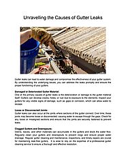 Roof Gutter Cleaning Ballarat Wide.pdf