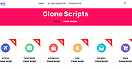 clone scripts developer, custom clone scripts development | ellowscripts.com