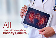 All there is to know about Kidney Failure