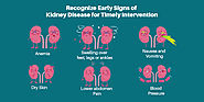 Recognize Early Signs of Kidney Disease for Timely Intervention