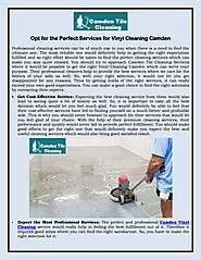 Opt for the Perfect Services for Vinyl Cleaning Camden
