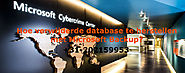 Hoe verwijderde database te herstellen met Microsoft Backup?