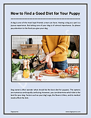 How to Find a Good Diet for Your Puppy | edocr