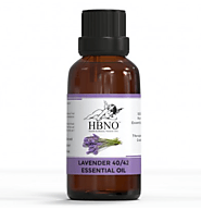 Shop Now! Lavender 40/42 Essential Oil from Manufacturers and Wholesale Supplier