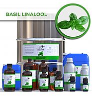 Buy Pure Basil Linalool Essential Oil - Essential Natural Oils