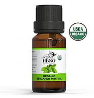 Shop Organic Bergamot Mint Essential Oil from Wholesale Supplier - HBNO