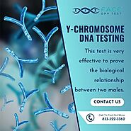 Y-chromosome DNA Testing