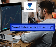 Best Online Forex Trading Course 2019