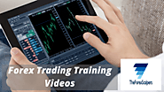 Forex Trading Training Videos for Beginners - The Forex Scalpers