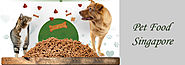 How Dog Treats Benefit Your Pet In Multiple Ways - Doggyfriend