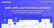 Best Web Application Development Company In Delhi