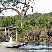 Find the best Chobe Full Day Trip