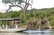 Planning for Chobe Full Day Trip?