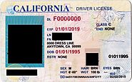 What Makes One To Buy Driving License Online?
