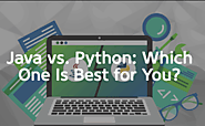 Java the Coffee vs Python the Snake: Which would be The Best in the Future?