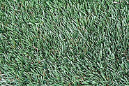 Artificial Turf - Brediger Landscaping | Artificial Turf Specialists