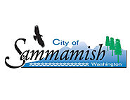 Sammamish Landscaping - Brediger Landscaping and Artificial Turf