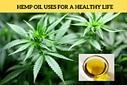 Hemp Oil Uses For A Healthy Life