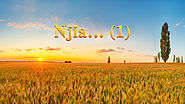 Njia… (1)